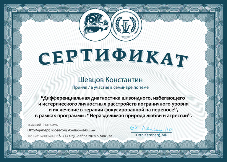 Сертификат Расстройства личности (Шевцов)